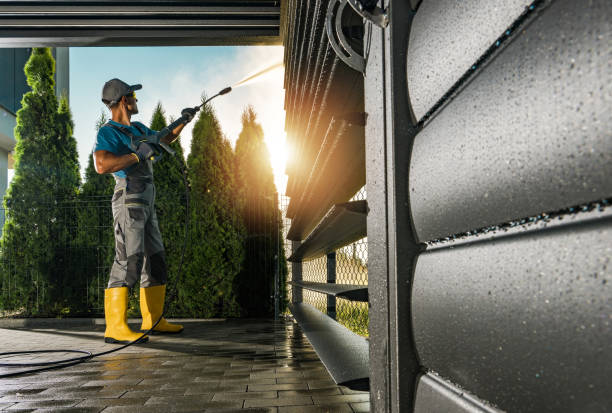 Animal Enclosure Cleaning in Suisun City, CA